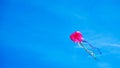 Kite like octopus flying on the blue sky