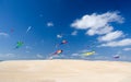 Kite party Royalty Free Stock Photo