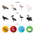 Kite, pelican, flamingo, swan. Birds set collection icons in cartoon,black,flat style vector symbol stock illustration Royalty Free Stock Photo