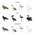 Kite, pelican, flamingo, swan. Birds set collection icons in cartoon,black,monochrome style vector symbol stock Royalty Free Stock Photo