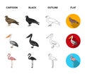 Kite, pelican, flamingo, swan. Birds set collection icons in cartoon,black,outline,flat style vector symbol stock Royalty Free Stock Photo