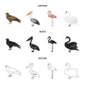 Kite, pelican, flamingo, swan. Birds set collection icons in cartoon,black,outline style vector symbol stock Royalty Free Stock Photo