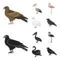 Kite, pelican, flamingo, swan. Birds set collection icons in cartoon,black style vector symbol stock illustration web. Royalty Free Stock Photo