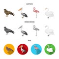 Kite, pelican, flamingo, swan. Birds set collection icons in cartoon,flat,monochrome style vector symbol stock Royalty Free Stock Photo