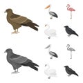 Kite, pelican, flamingo, swan. Birds set collection icons in cartoon,monochrome style vector symbol stock illustration Royalty Free Stock Photo