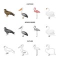 Kite, pelican, flamingo, swan. Birds set collection icons in cartoon,outline,monochrome style vector symbol stock Royalty Free Stock Photo