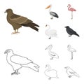 Kite, pelican, flamingo, swan. Birds set collection icons in cartoon,outline style vector symbol stock illustration web. Royalty Free Stock Photo