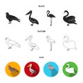 Kite, pelican, flamingo, swan. Birds set collection icons in cartoon style vector symbol stock illustration web. Royalty Free Stock Photo