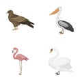 Kite, pelican, flamingo, swan. Birds set collection icons in cartoon style vector symbol stock illustration web. Royalty Free Stock Photo