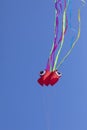 Octopus kite with vivid colors flying