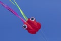 Octopus kite with vivid colors flying