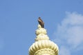 A kite sitting on the top of dome.