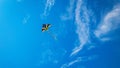 Kite sky. Colorful high flying toy. Air kite fly on blue wind background. Rainbow kite in summer clouds. Concept of Royalty Free Stock Photo