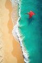 Kite soaring high above sandy beach, turquoise water , sky, landscape Royalty Free Stock Photo
