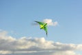 Kite soars in the clouds, blue sky, Sunny day, fly Royalty Free Stock Photo