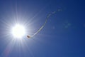 Kite against the sky and the sun
