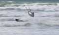 Kite Surfer / Boarder