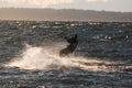 Kite surfer enjoying the speed and the sun