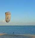 Kite surfer at Kenyan beach, Africa Royalty Free Stock Photo