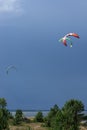 A kite surfer rides on the sea. Kites in the sky. Royalty Free Stock Photo