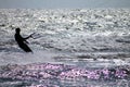 Kite surfer in rough sea Royalty Free Stock Photo