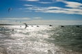 Kite surfers enjoying the sea at the sunset Royalty Free Stock Photo