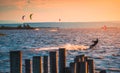 Kite Surfers at a Lake Sunset Royalty Free Stock Photo