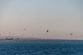Kite Surfers Riding on the Red Sea at Sunset in Egypt Royalty Free Stock Photo