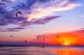 Kite-surfing against a beautiful sunset. Many silhouettes of kit