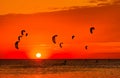 Kite-surfing against a beautiful sunset. Many silhouettes of kit Royalty Free Stock Photo