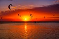 Kite-surfing against a beautiful sunset. Many silhouettes of kit Royalty Free Stock Photo