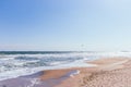 Kite surfing on beach with trade ships on horizon. Active lifestyle. Extreme sports concept Royalty Free Stock Photo