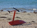 Kite surfing board on the beach Royalty Free Stock Photo