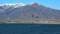 Kite surfing on Deer Creek Reservoir Royalty Free Stock Photo