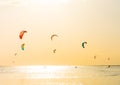 Kite-surfing and a lot of silhouettes of kites in the sky. Holidays on nature. Artistic picture. Beauty world. Royalty Free Stock Photo