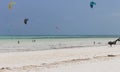 Kite surfing on tropical beach, low tide. Kite surfers on the sea. Scenic Indian Ocean with kite boards, Zanzibar, Paje beach.