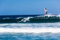 Kite Surfing Wave Ocean