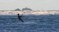 Kiteboarder And Godrevy Lighthouse Royalty Free Stock Photo