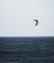 Kiteboarder kitesurfer extreme water sport at Belgium Pier in Blankenberge north sea atlantic ocean West Flanders