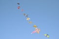 Kites Royalty Free Stock Photo