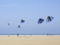 Kites Royalty Free Stock Photo