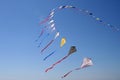 Kites