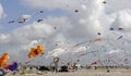 Kites all over the beach