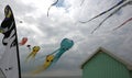 Kites on the beach of Berck, France