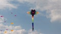 Kites on the beach of Berck, France