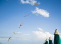 Kites and beach umbrellas Royalty Free Stock Photo