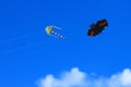Kites on blue sky Royalty Free Stock Photo