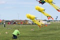 Kites in flight at Blyth Kite Festival 2015