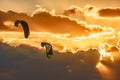 Kites flying in air on sunset sky scenic background. Kitesurfing is popular summer outdoor seaside activity