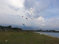 Kites flying by the bay